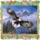 Картина раскраска по номерам - Орел в горах PaintBoy GX7134 Paintboy GX7134