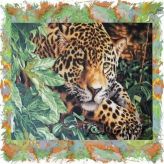Картина раскраска по номерам - Леопард PaintBoy GX6833 Paintboy GX6833