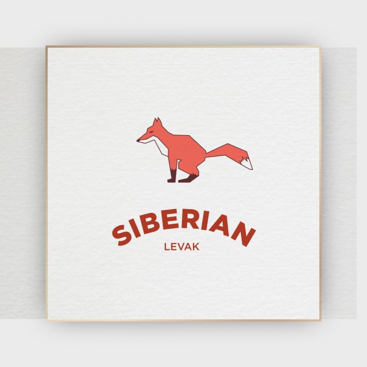 Новый сорт кофе SIBERIAN LEVAK: ферментация зерен сибирскими лисами  